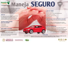 Maneja seguro
