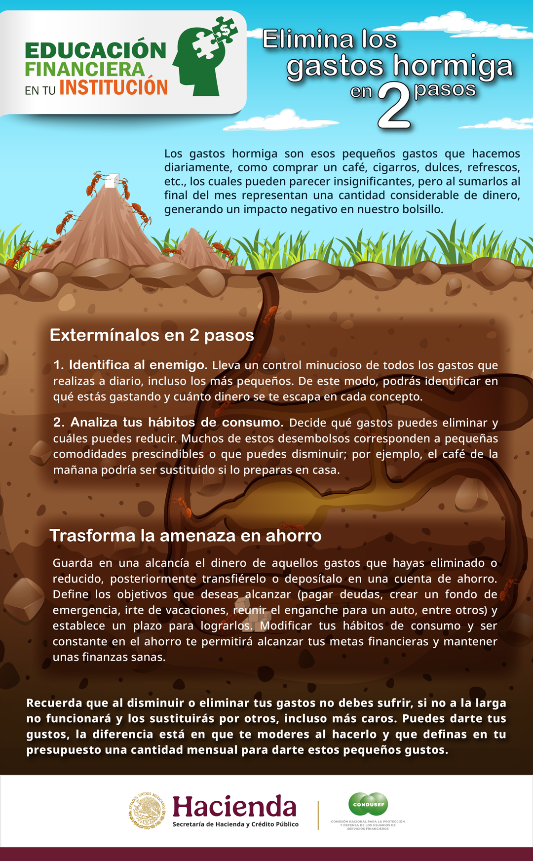 Gastos Hormiga