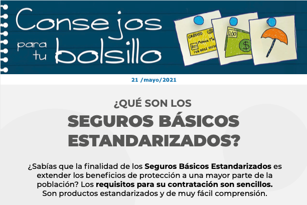 ¡Qué son los seguros básicos estandarizados?