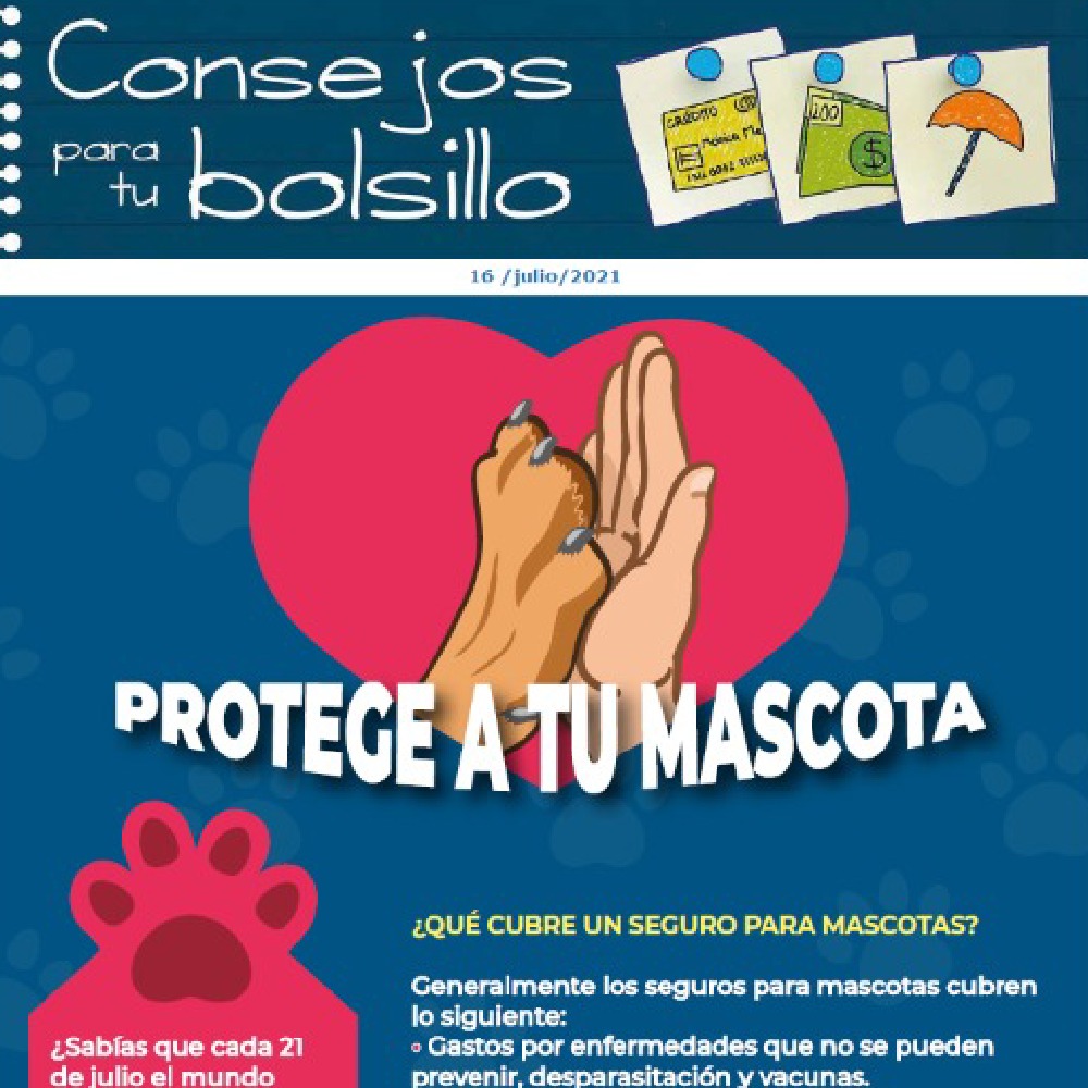 Protege a tu mascota