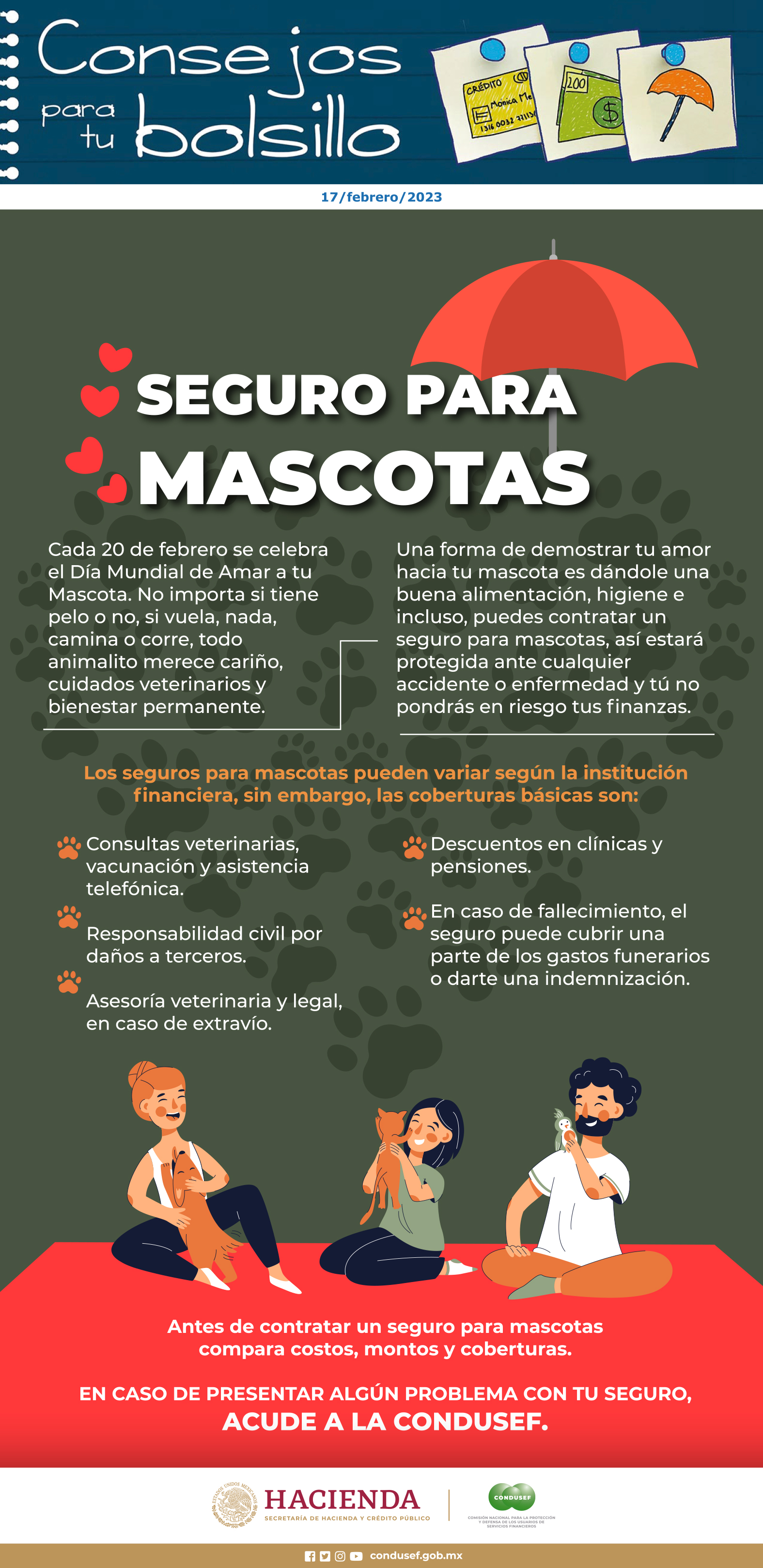 Seguro para mascotas